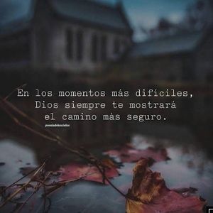 Meet your Posher, Iris cristina